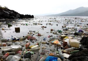 Dampak Plastik pada Ekosistem Laut: Ancaman yang Semakin Mengkhawatirkan