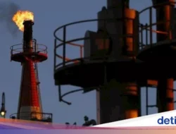 Indonesia Timur: Antara Potensi Gemilang dan Tantangan yang Menghadang