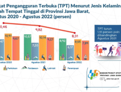Pengangguran: Lebih dari Sekadar Angka, Sebuah Tantangan Kompleks bagi Indonesia
