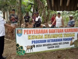 Ketahanan Pangan di Ujung Tanduk: Ancaman Nyata dan Solusi Strategis