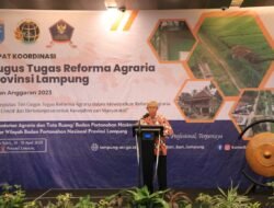 Reformasi Agraria: Antara Harapan dan Tantangan Mewujudkan Keadilan Agraria di Indonesia