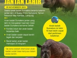 Taman Nasional Indonesia: Tantangan dan Harapan di Tengah Perubahan Iklim dan Pembangunan