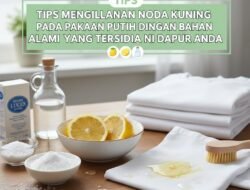 Tips Menghilangkan Noda Kuning pada Pakaian Putih dengan Bahan Alami yang Tersedia di Dapur Anda