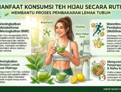 Manfaat Konsumsi Teh Hijau Secara Rutin Untuk Membantu Proses Pembakaran Lemak Tubuh
